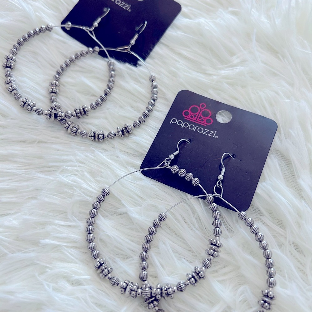 Paparazzi Silver Dangle Earrings
